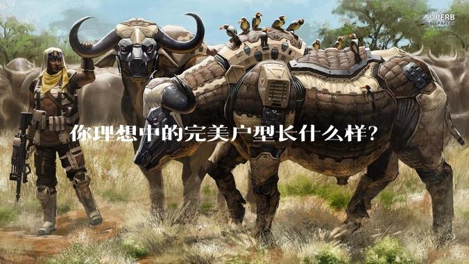 你理想中的完美户型长什么样？